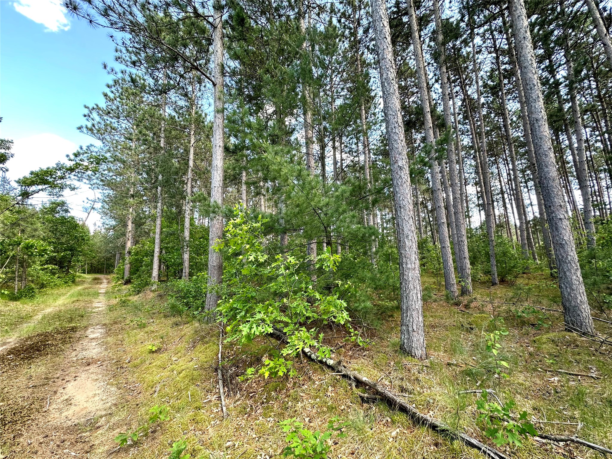 E20244 Cty Rd Gg Augusta WI 54722 1602250 image15