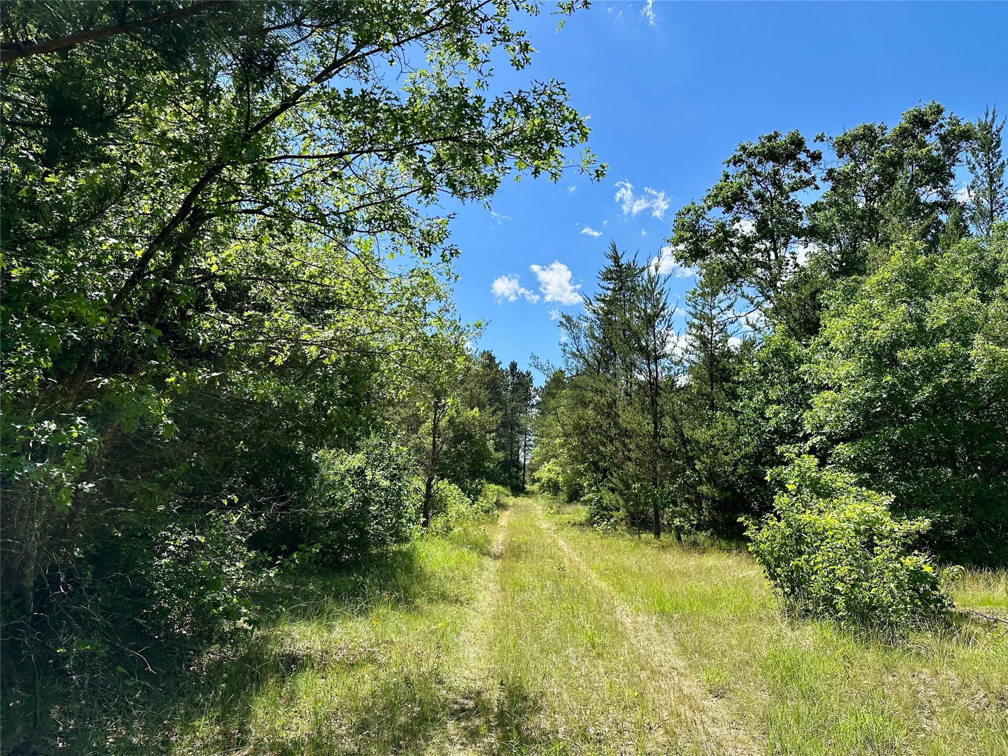 E20244 Cty Rd Gg Augusta WI 54722 1602250 image16