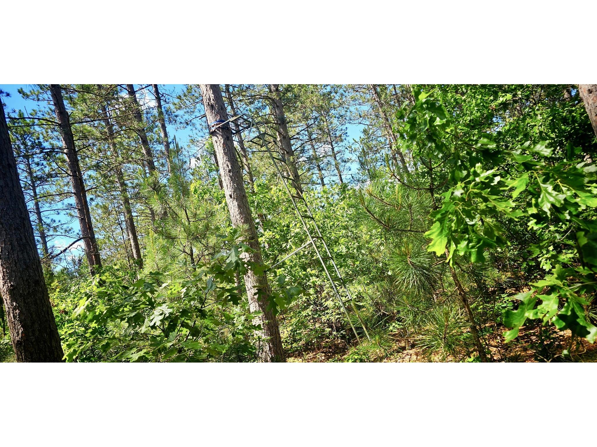 E20244 Cty Rd Gg Augusta WI 54722 1602250 image17