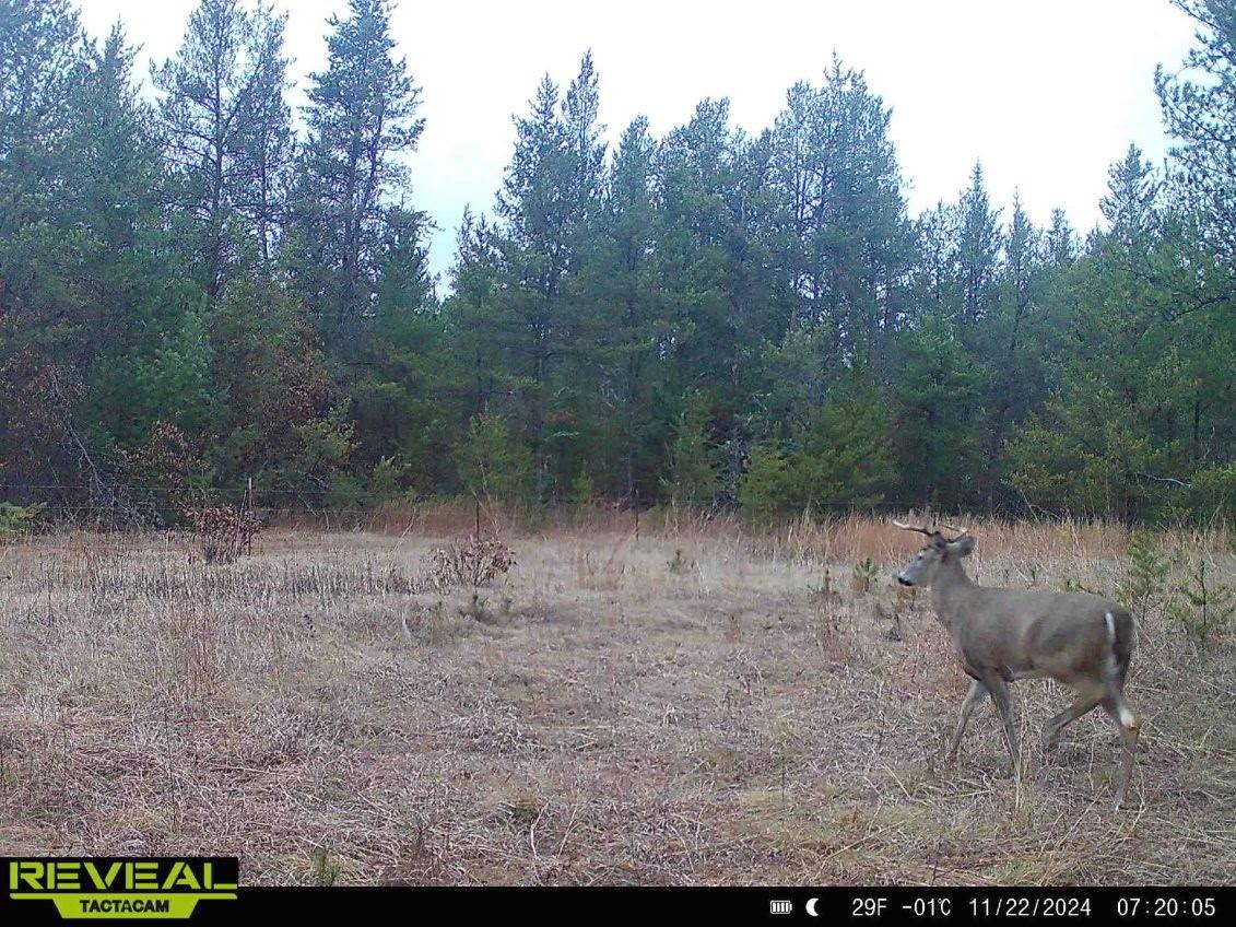 E20244 Cty Rd Gg Augusta WI 54722 1602250 image18