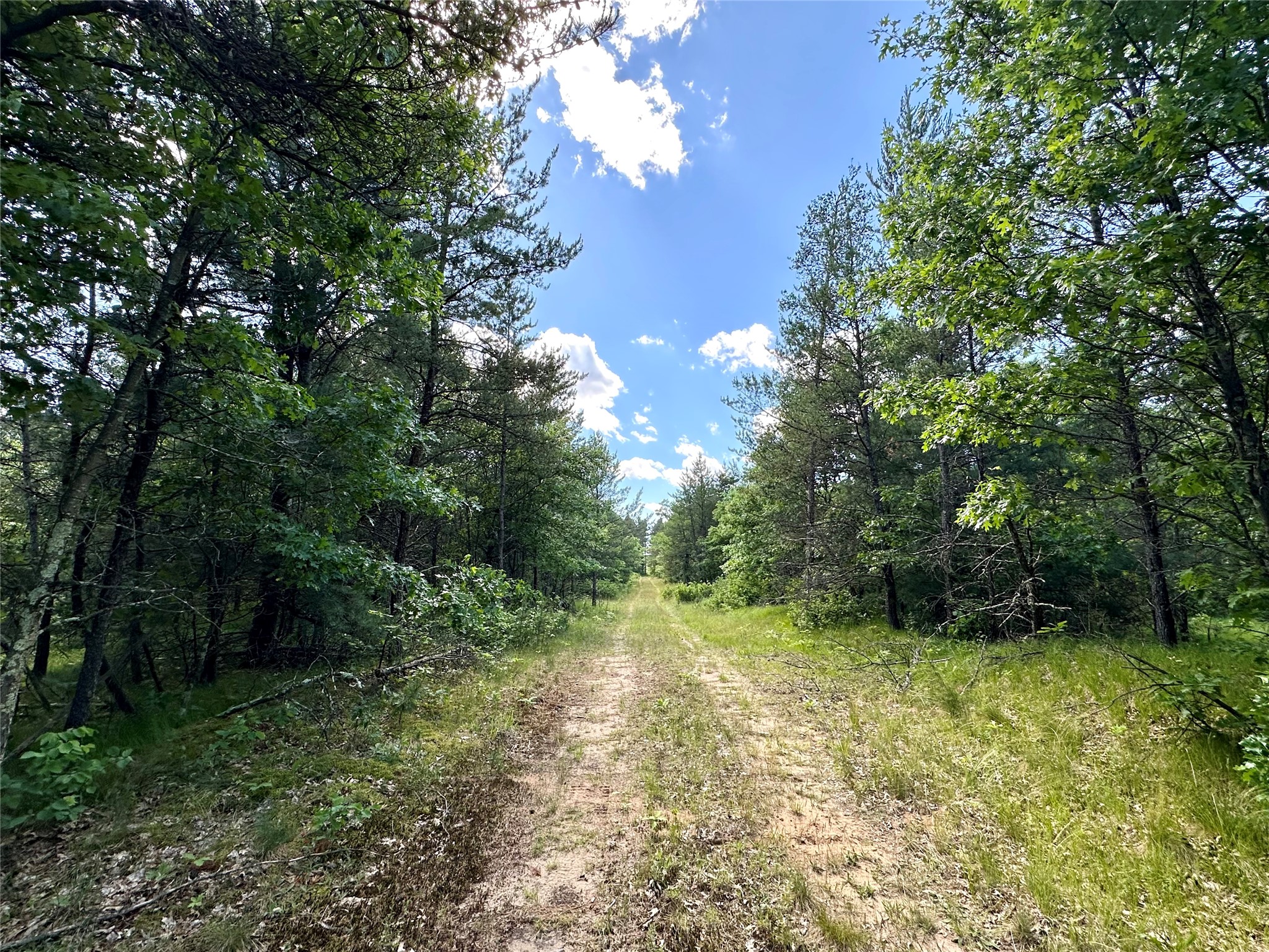 E20244 Cty Rd Gg Augusta WI 54722 1602250 image22