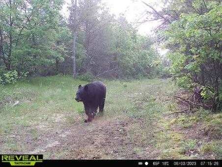 E20244 Cty Rd Gg Augusta WI 54722 1602250 image26