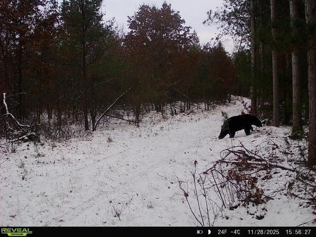 E20244 Cty Rd Gg Augusta WI 54722 1602250 image27