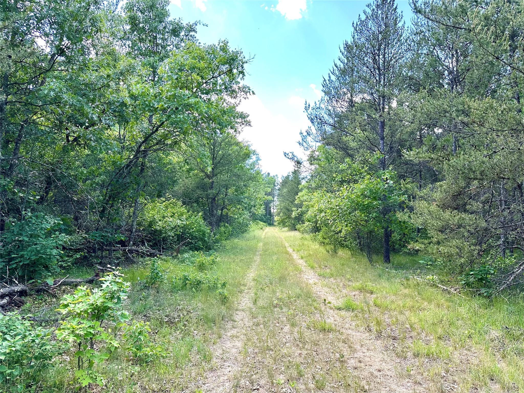 E20244 Cty Rd Gg Augusta WI 54722 1602250 image6