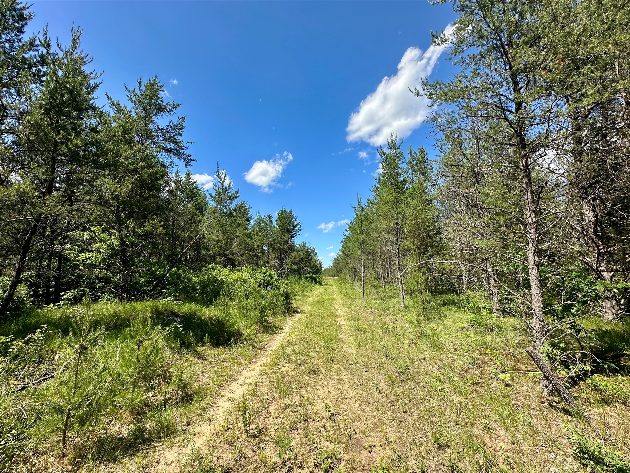 E20244 Cty Rd Gg Augusta WI 54722 1602250 image8