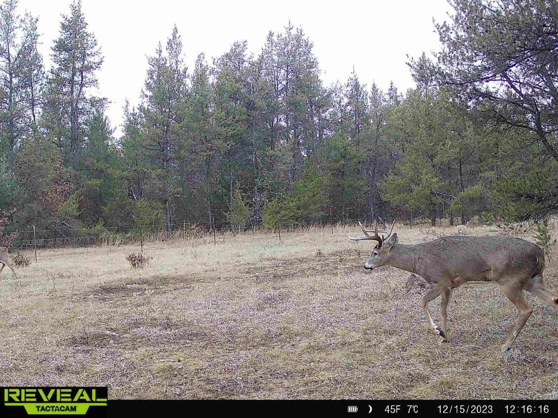 E20244 Cty Rd Gg Augusta WI 54722 1602250 image9