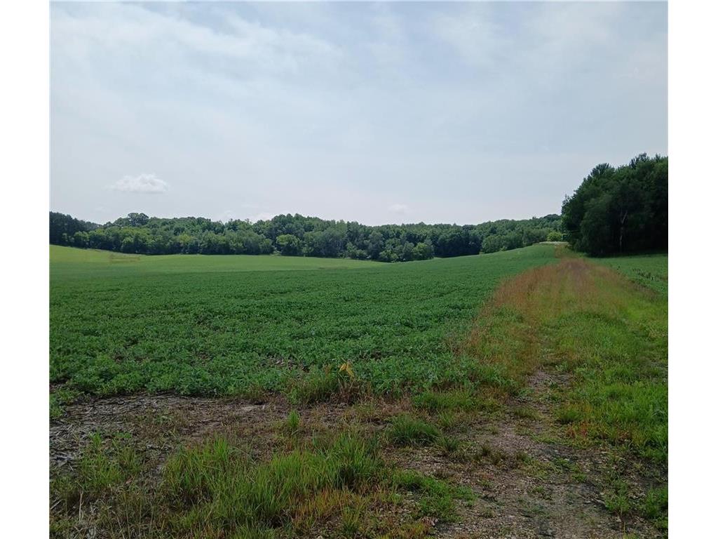 E20785 Karow Road Augusta WI 54722 1583769 image1