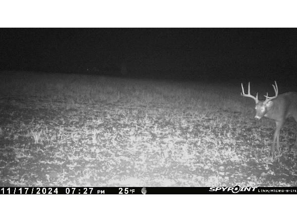 E21504 Karow Road Augusta WI 54722 1595629 image1