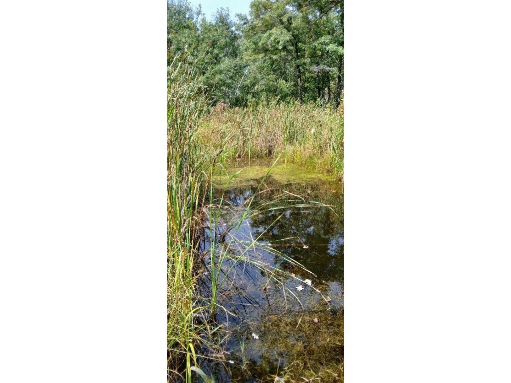 E21504 Karow Road Augusta WI 54722 1595629 image11