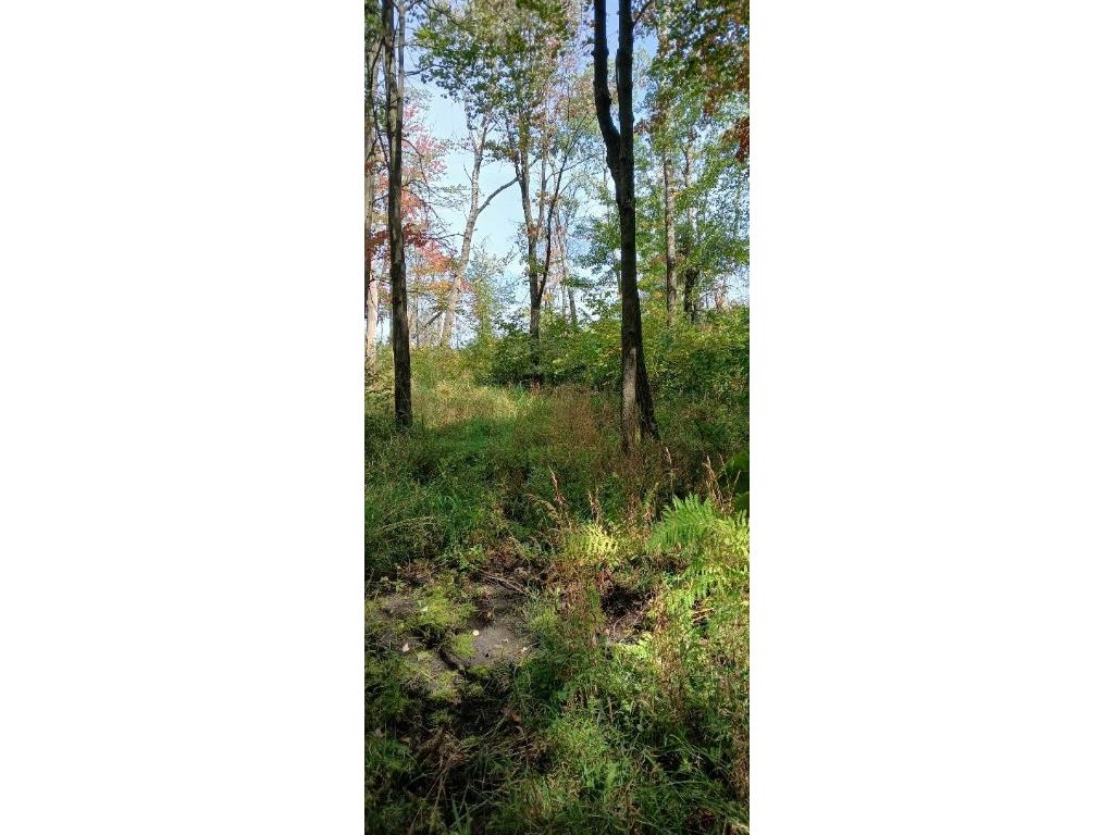 E21504 Karow Road Augusta WI 54722 1595629 image12