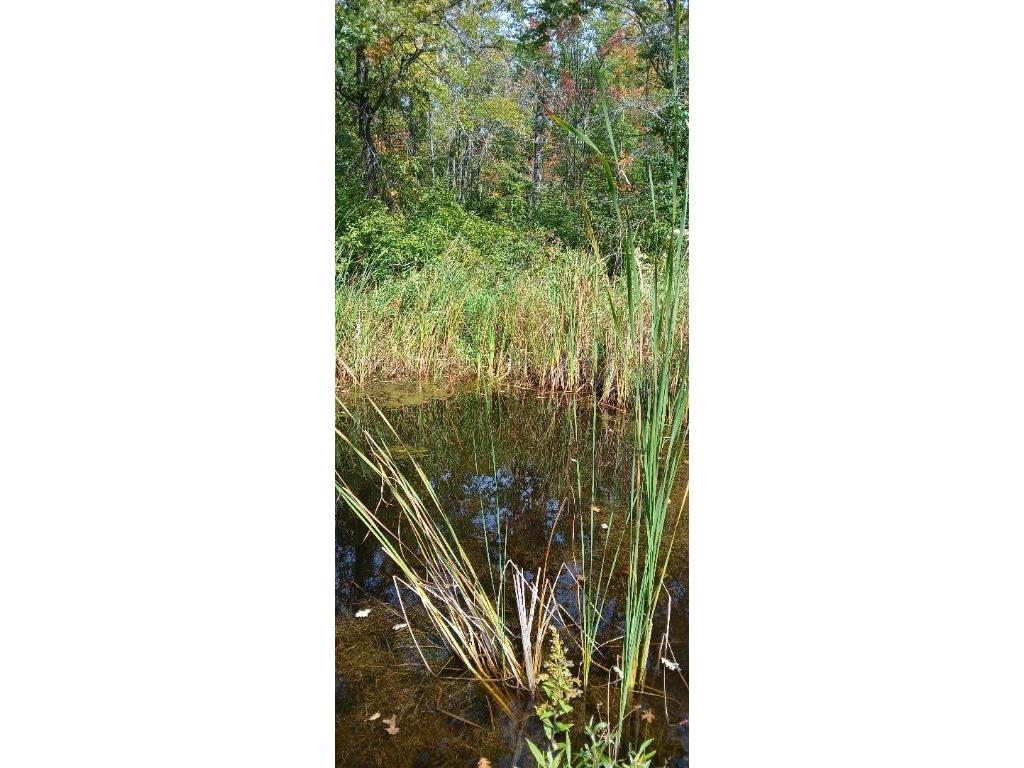 E21504 Karow Road Augusta WI 54722 1595629 image13