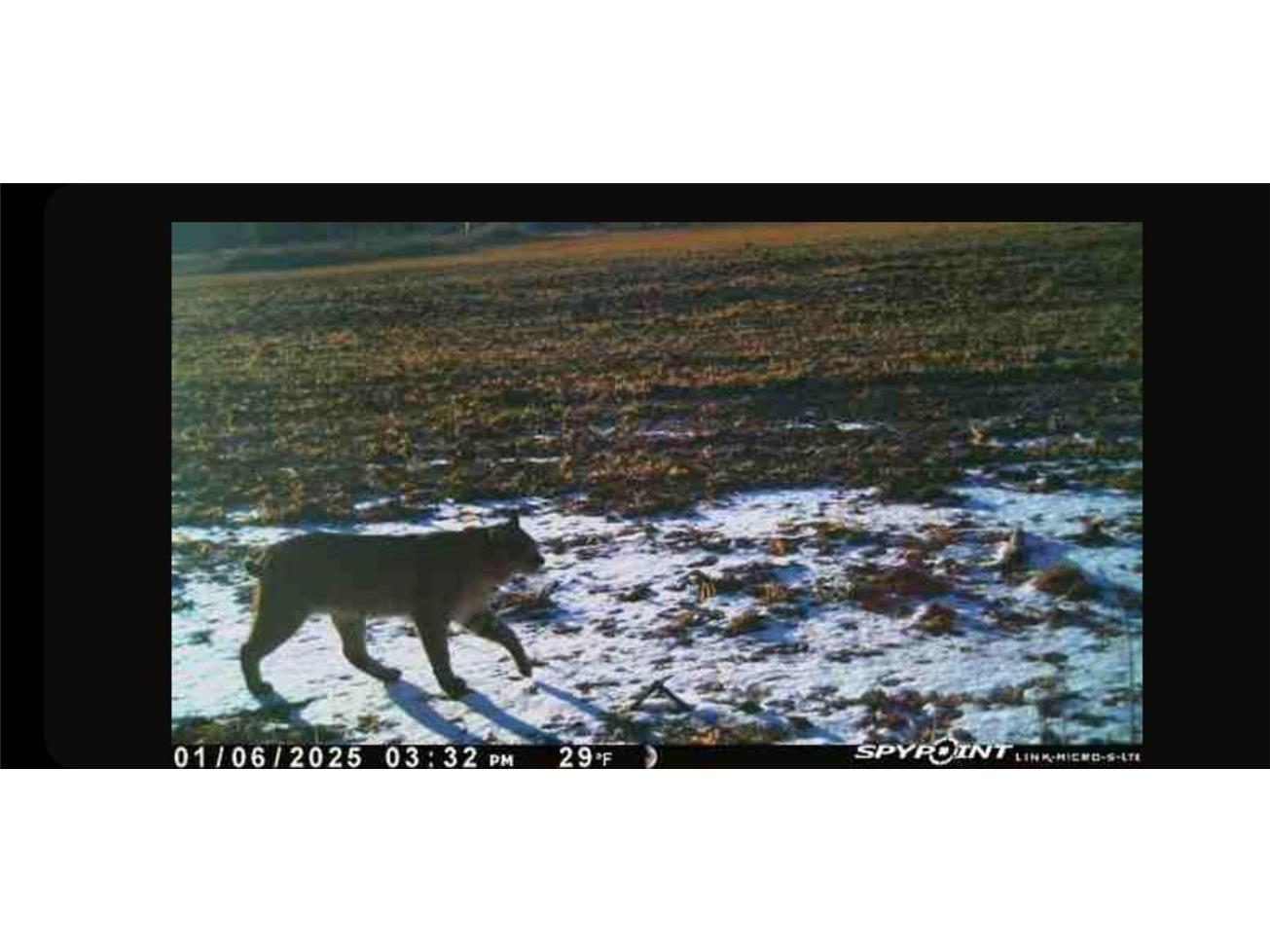 E21504 Karow Road Augusta WI 54722 1595629 image2