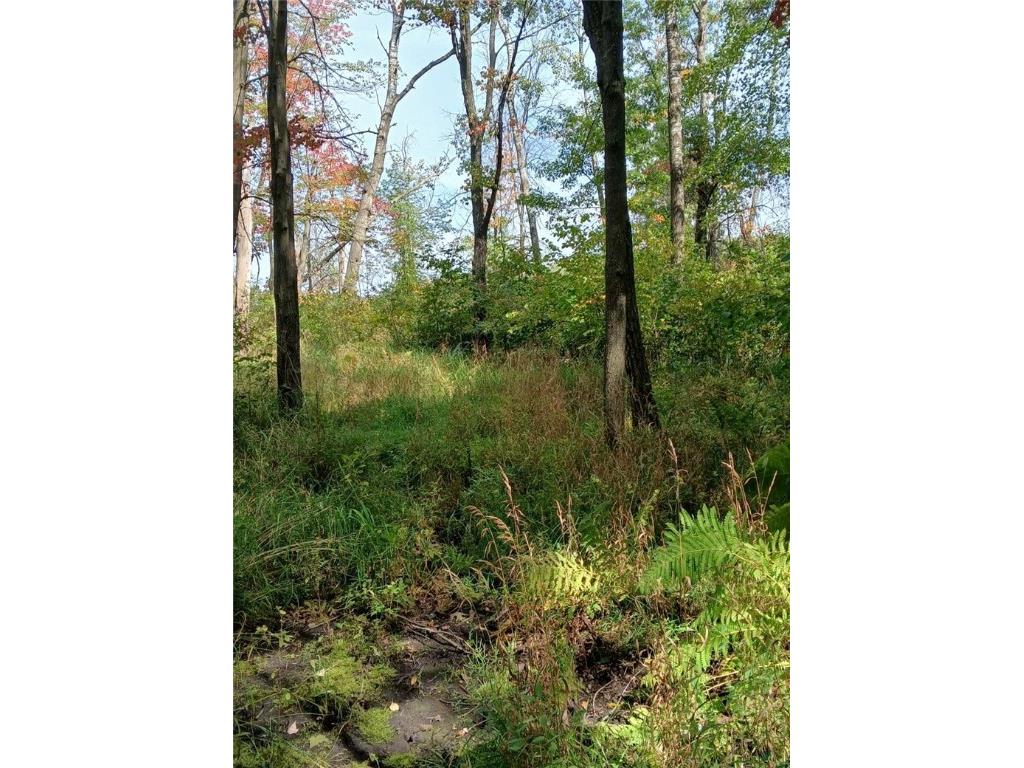 E21504 Karow Road Augusta WI 54722 1595629 image24