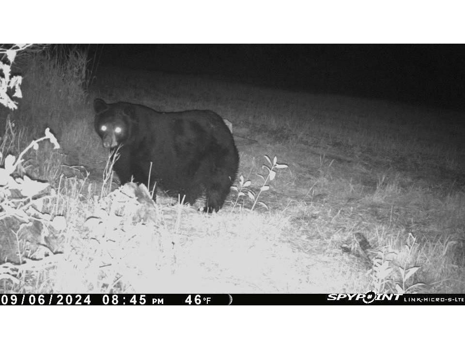 E21504 Karow Road Augusta WI 54722 1595629 image3