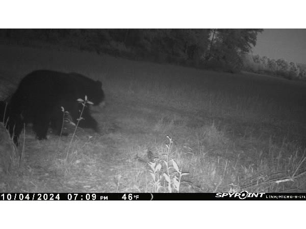 E21504 Karow Road Augusta WI 54722 1595629 image6