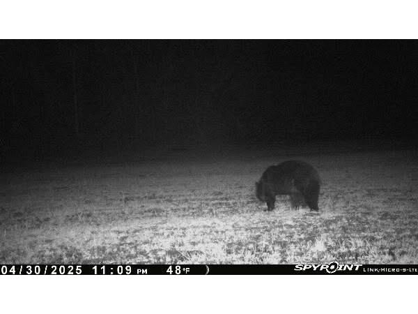 E21504 Karow Road Augusta WI 54722 1595629 image7