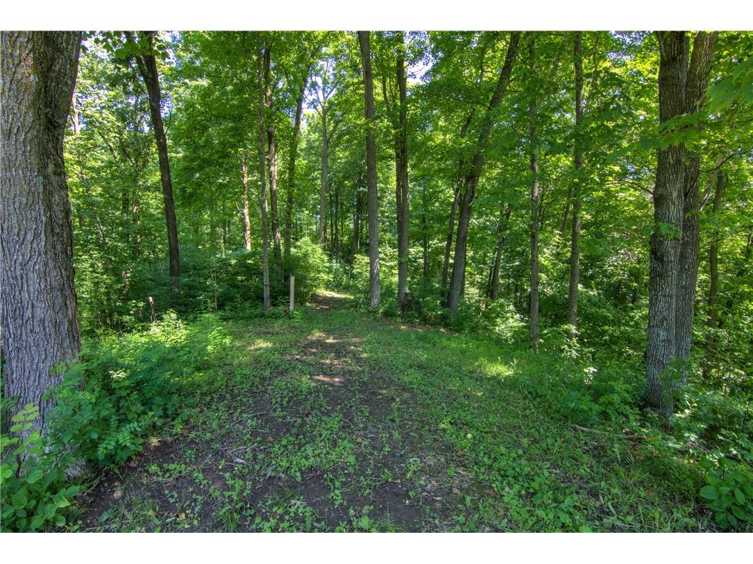 E2519 State Road 29 Menomonie WI 54751 1593170 image50