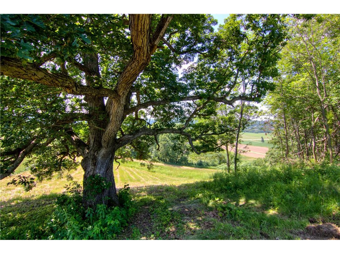 E2519 State Road 29 Menomonie WI 54751 1593170 image52