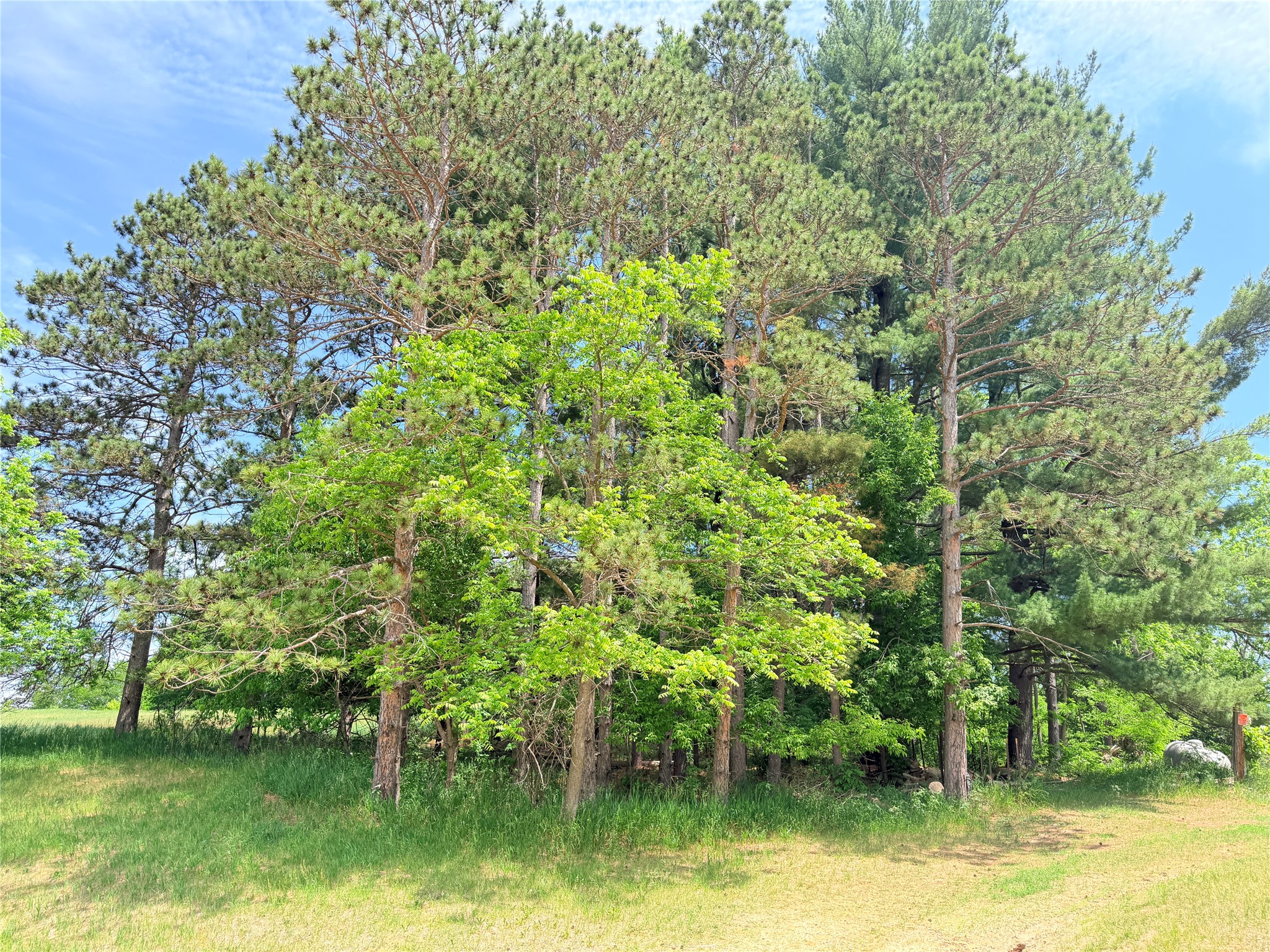 E3495 1210th Avenue Boyceville WI 54725 1601889 image13