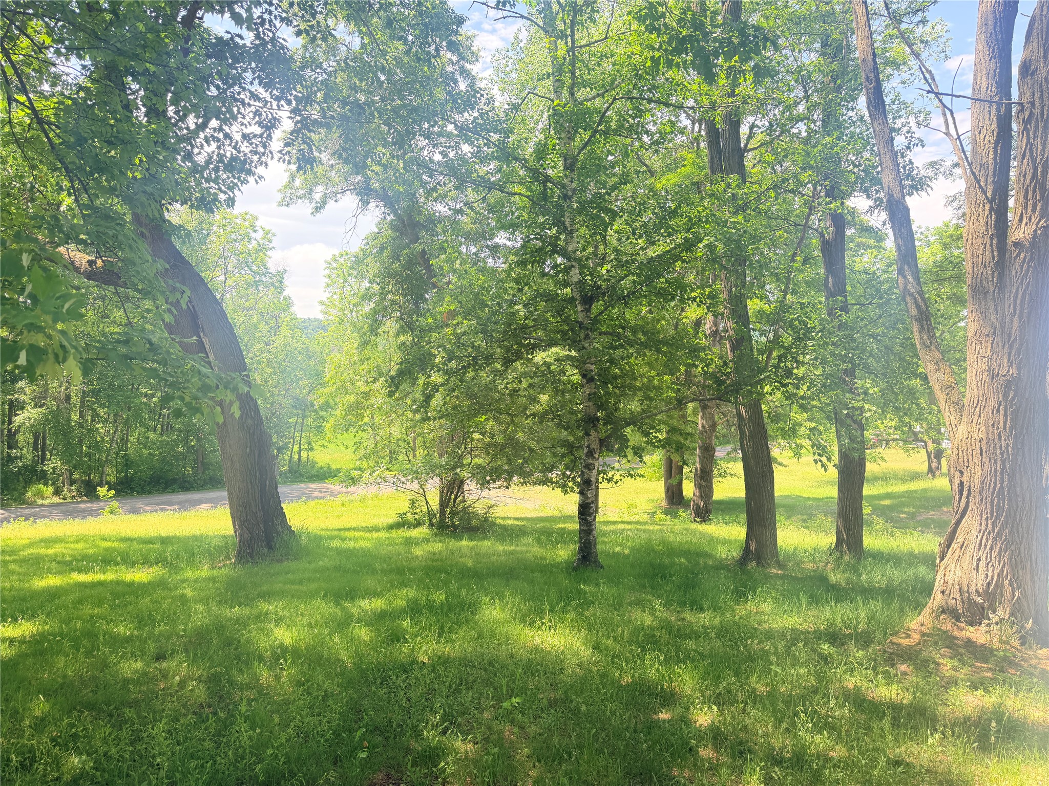 E3495 1210th Avenue Boyceville WI 54725 1601889 image15