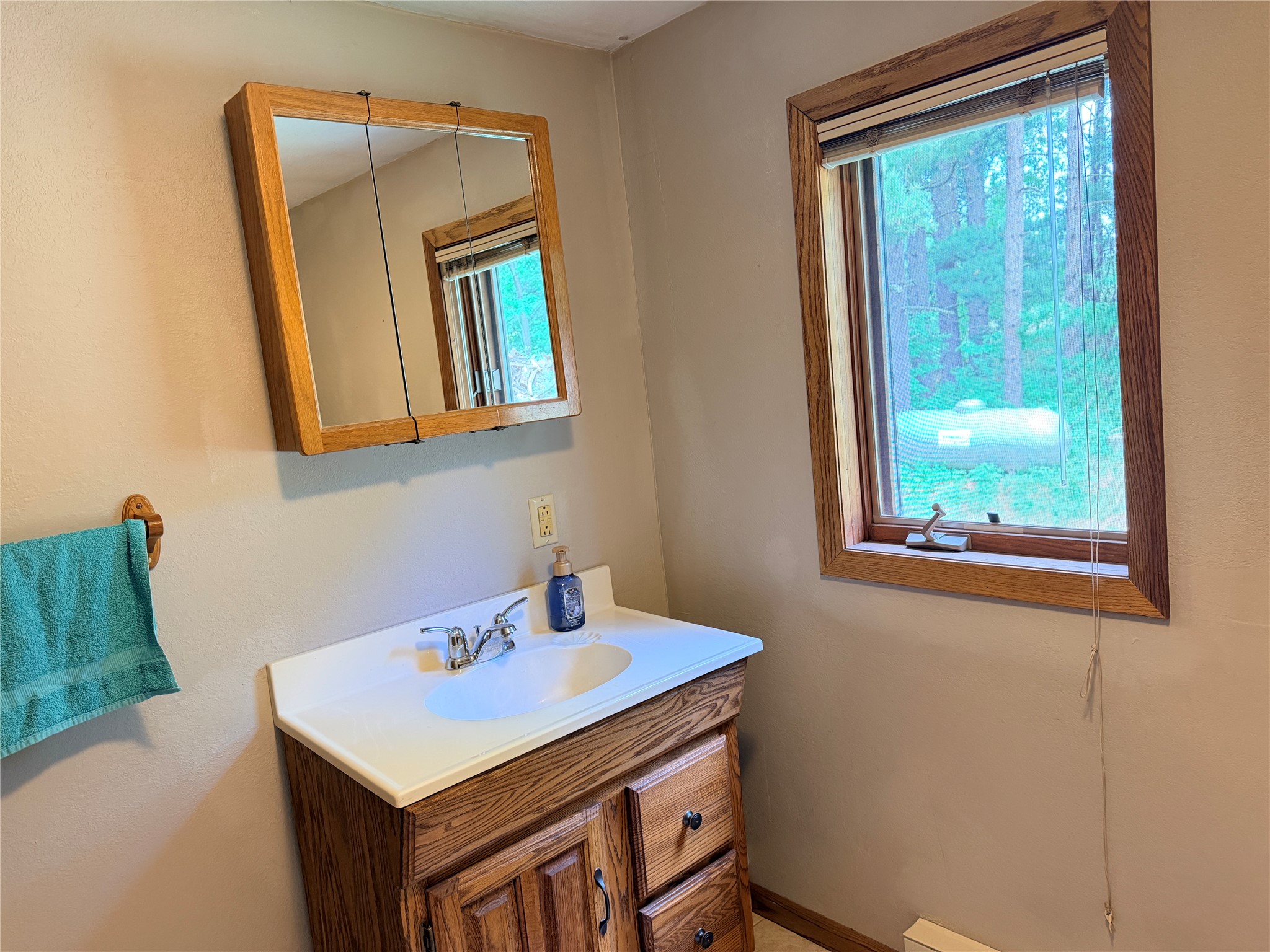 E3495 1210th Avenue Boyceville WI 54725 1601889 image25