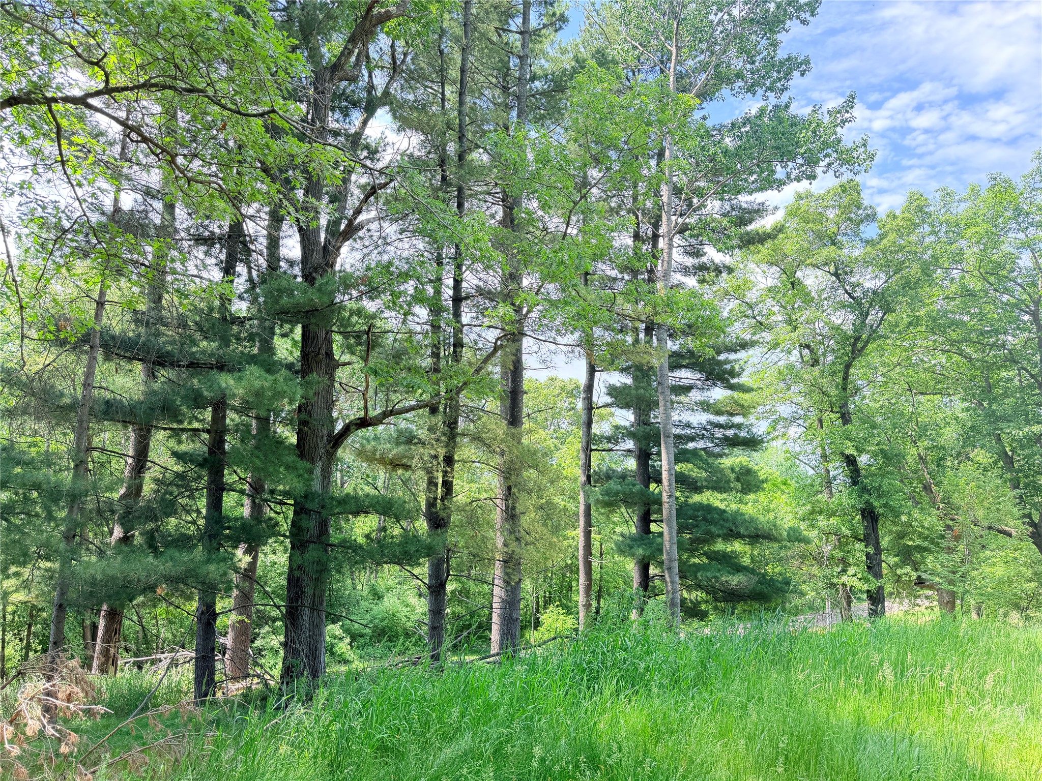 E3495 1210th Avenue Boyceville WI 54725 1601889 image9