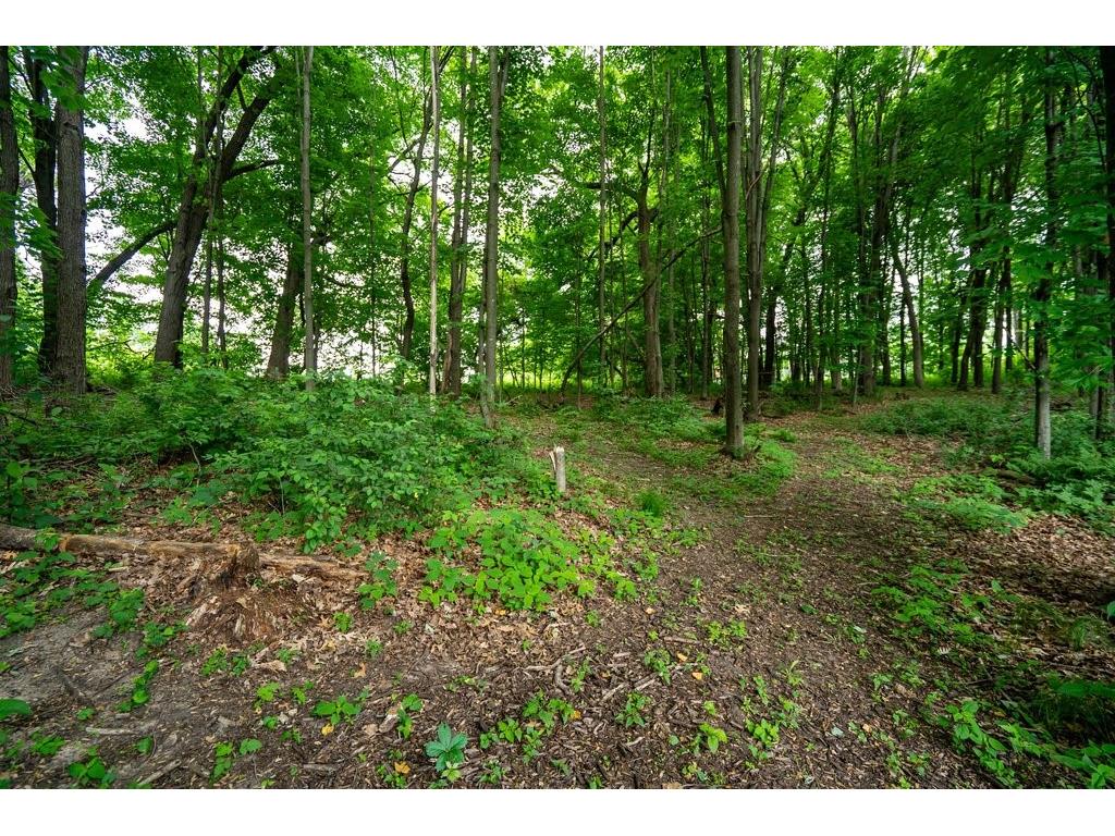 E5251 Basswood Road Eau Claire WI 54701 1601902 image54