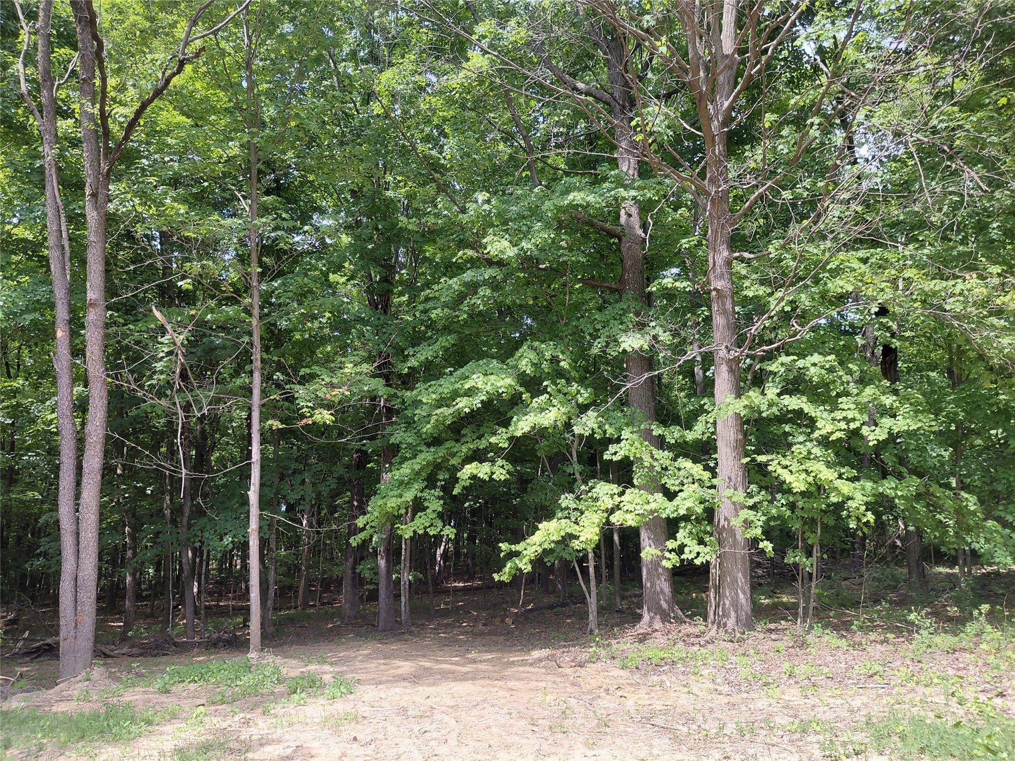 E5329 1370 Avenue Ridgeland WI 54763 1602398 image10