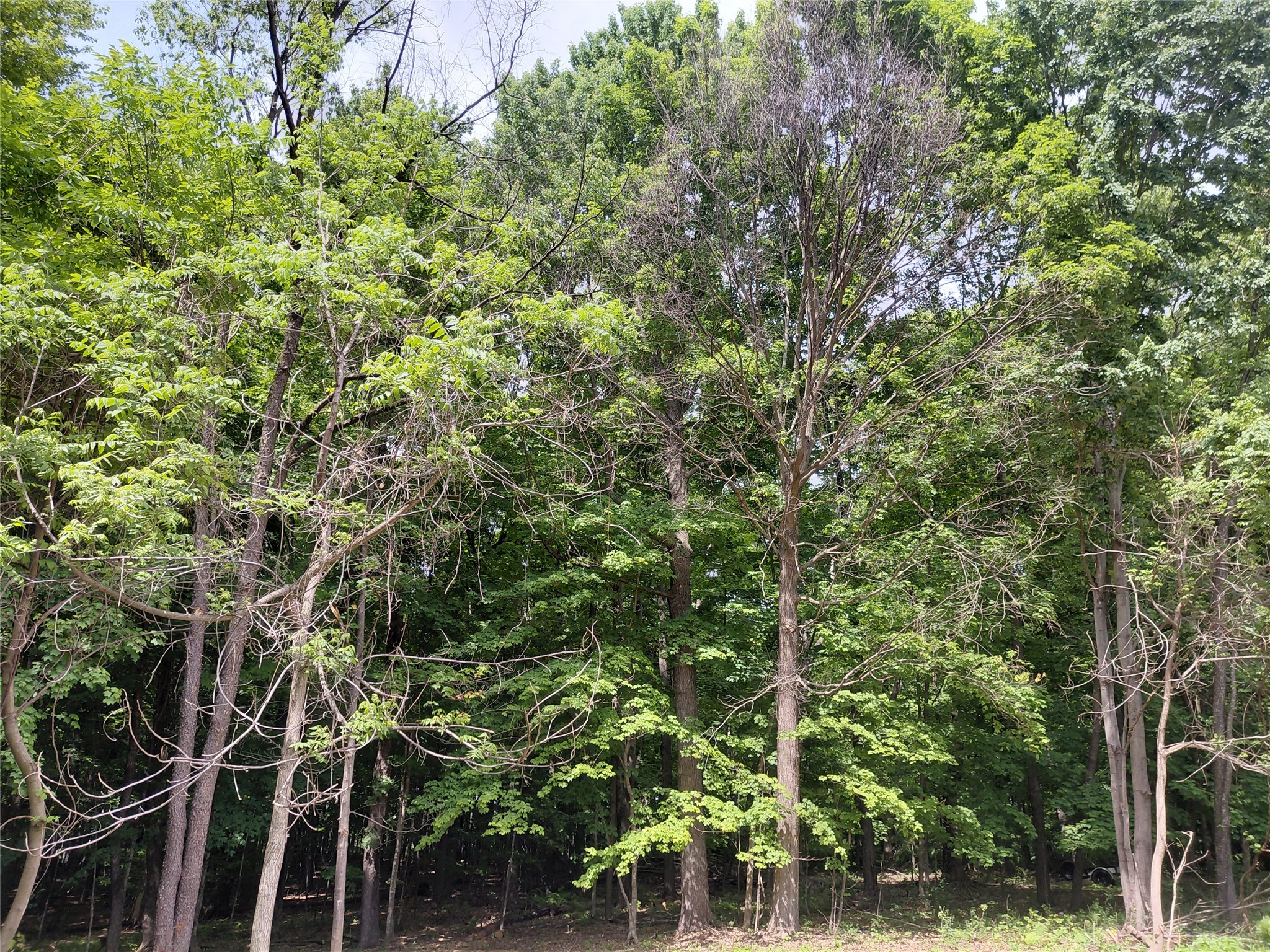 E5329 1370 Avenue Ridgeland WI 54763 1602398 image11