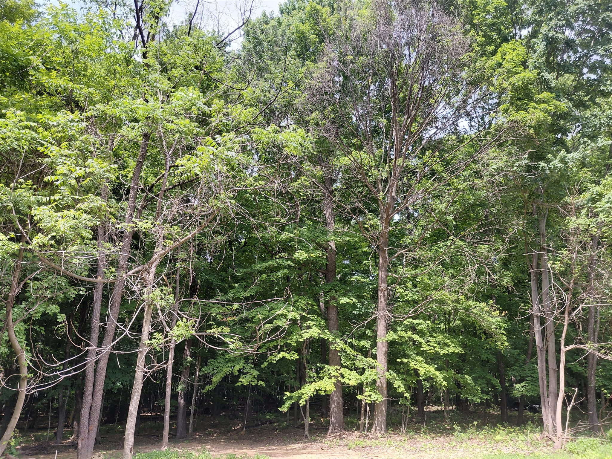 E5329 1370 Avenue Ridgeland WI 54763 1602398 image12