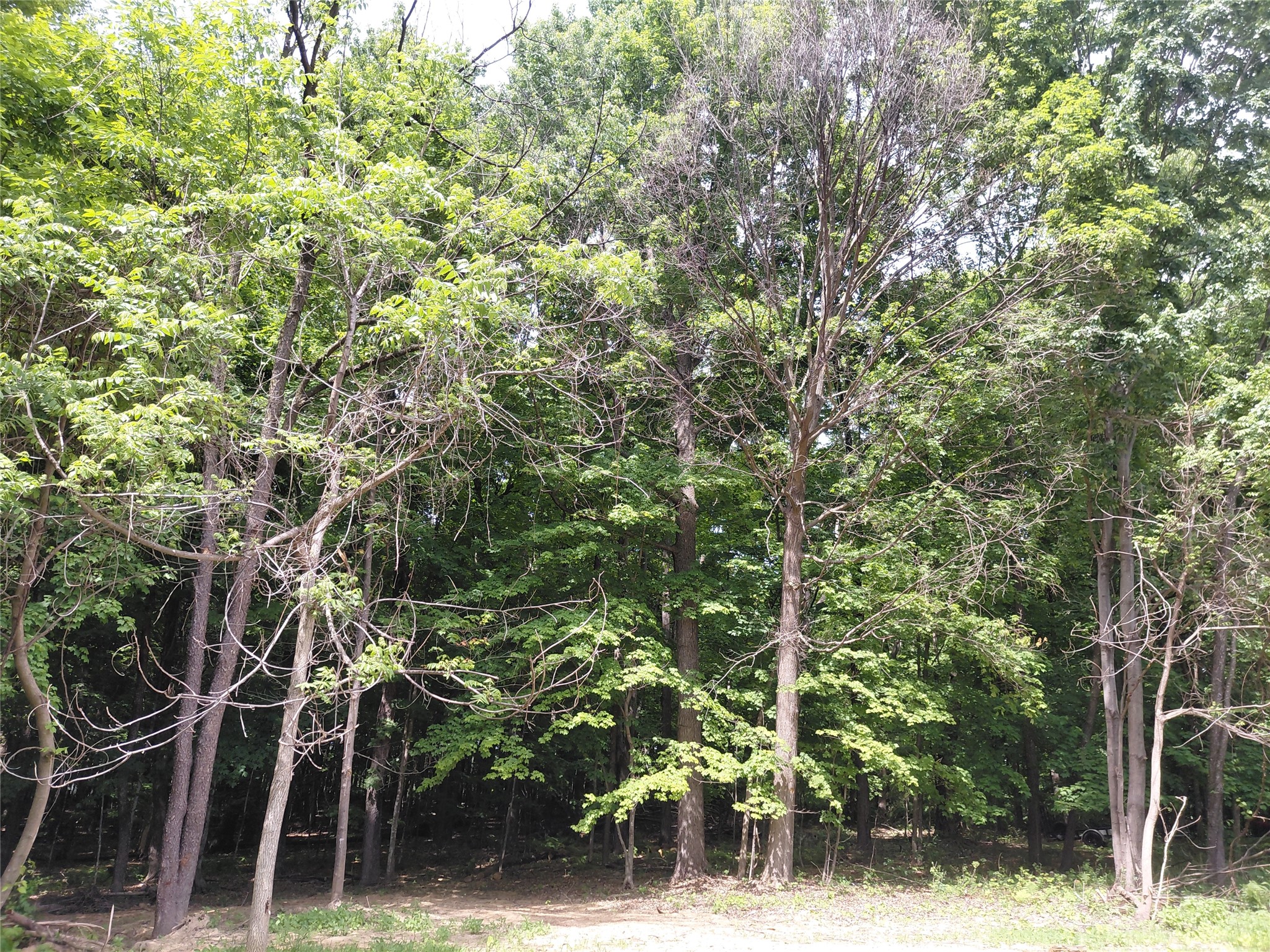 E5329 1370 Avenue Ridgeland WI 54763 1602398 image13
