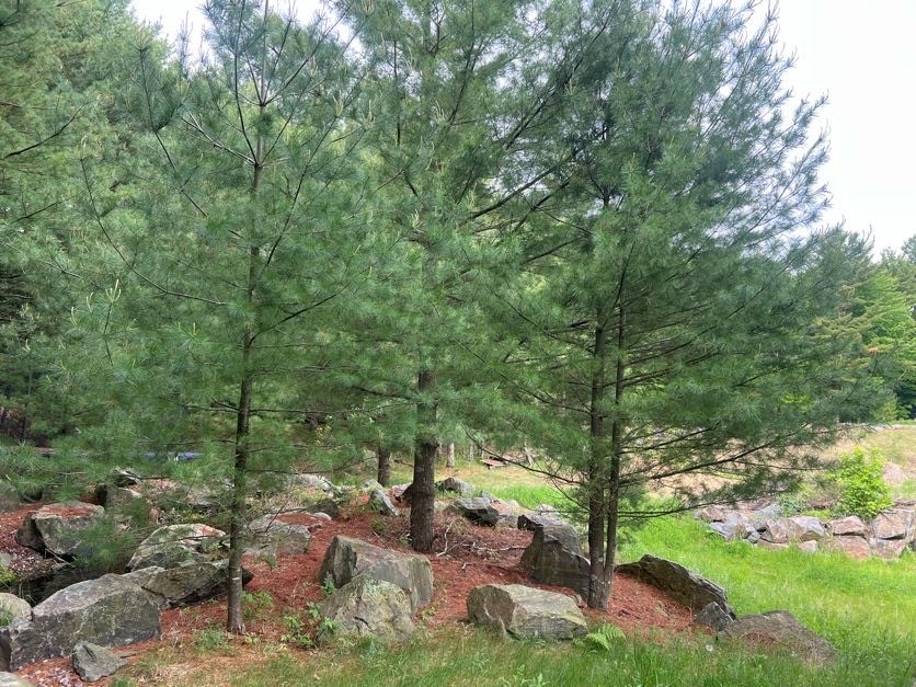 E5405 815th Avenue Menomonie WI 54751 1601734 image39