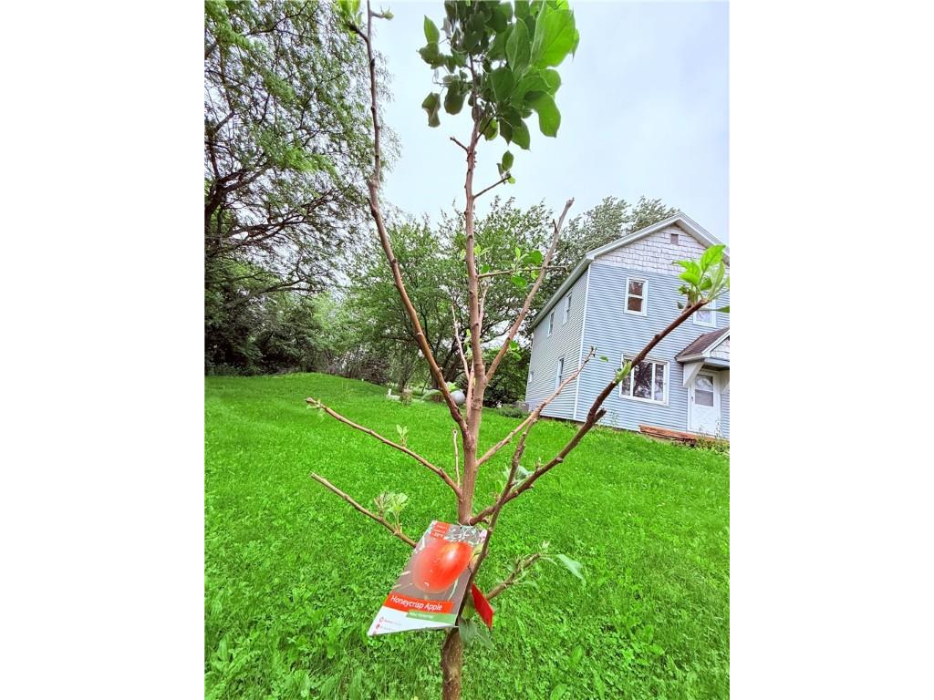 E5690 510th Avenue Menomonie WI 54751 1592732 image37