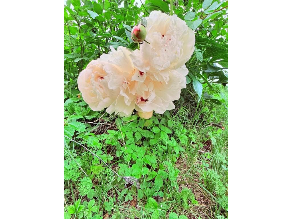 E5690 510th Avenue Menomonie WI 54751 1592732 image38