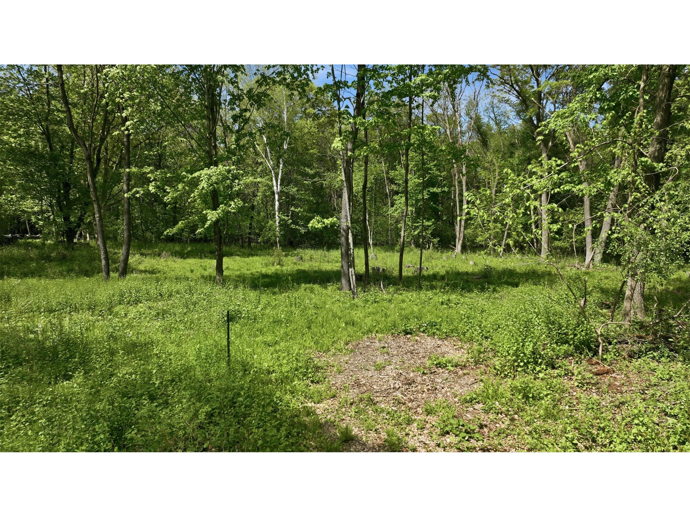 E6049 852nd Avenue Colfax WI 54730 1601261 image2
