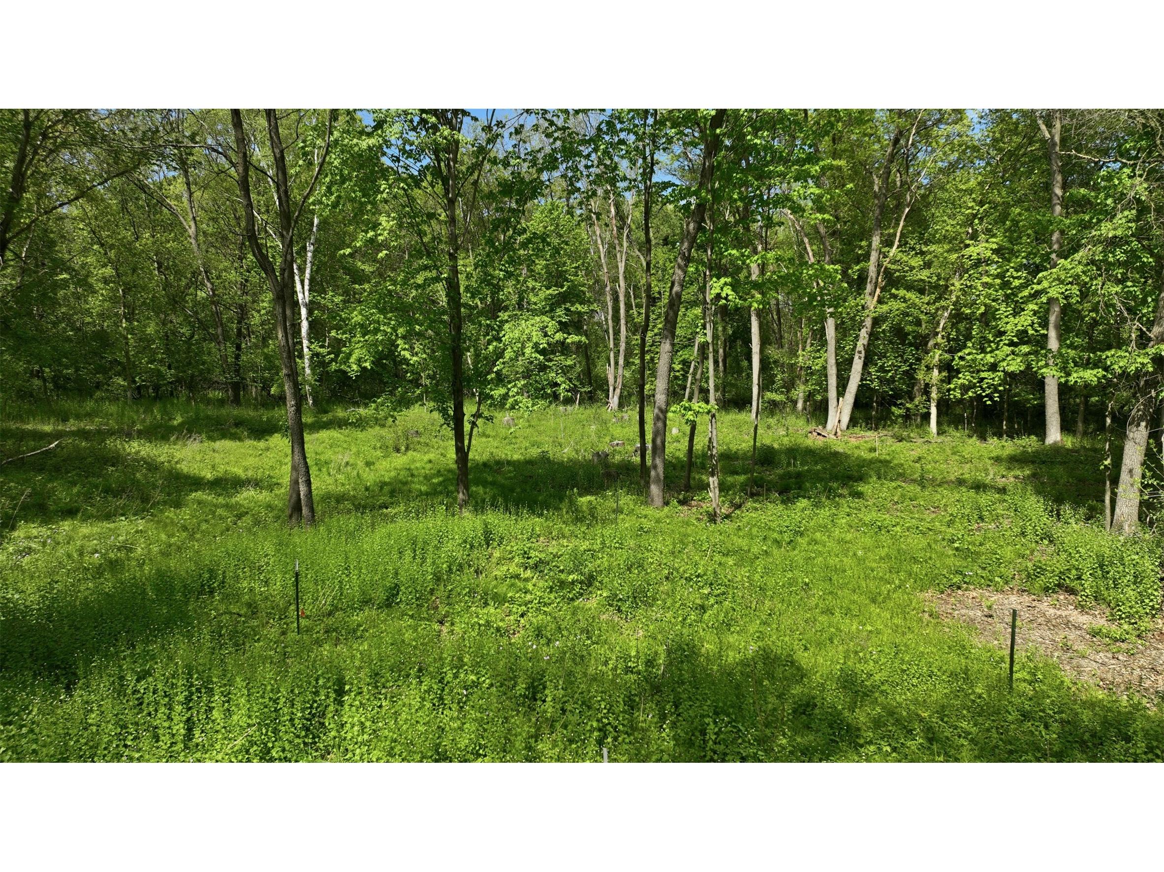 E6049 852nd Avenue Colfax WI 54730 1601261 image3
