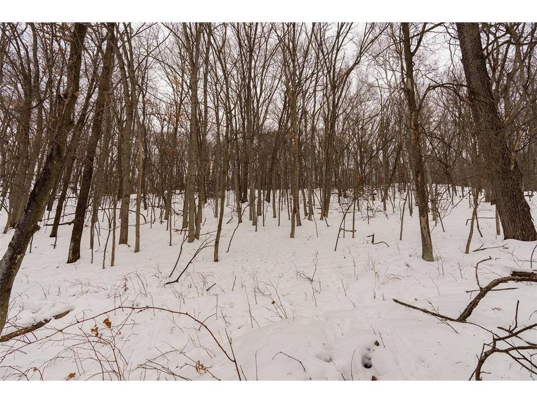 E6783 1090th Avenue Wheeler WI 54772 1598319 image13