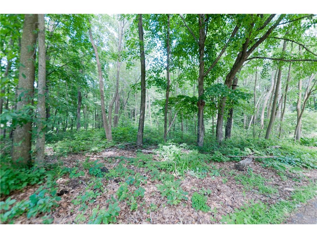 East 13+ acres 29 1/4 Avenue Rice Lake WI 54868 1566489 image1