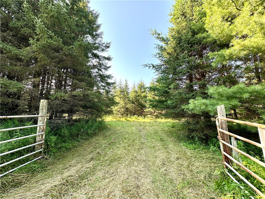 East 20 Acres W Poertner Road Neillsville WI 54456 1594219 image1