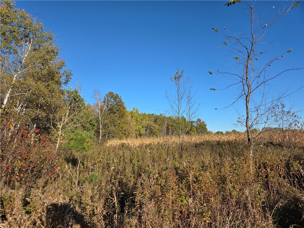 Intersection of Hwy. 48 & Co. Rd. 25 Rice Lake WI 54868 1596400 image1