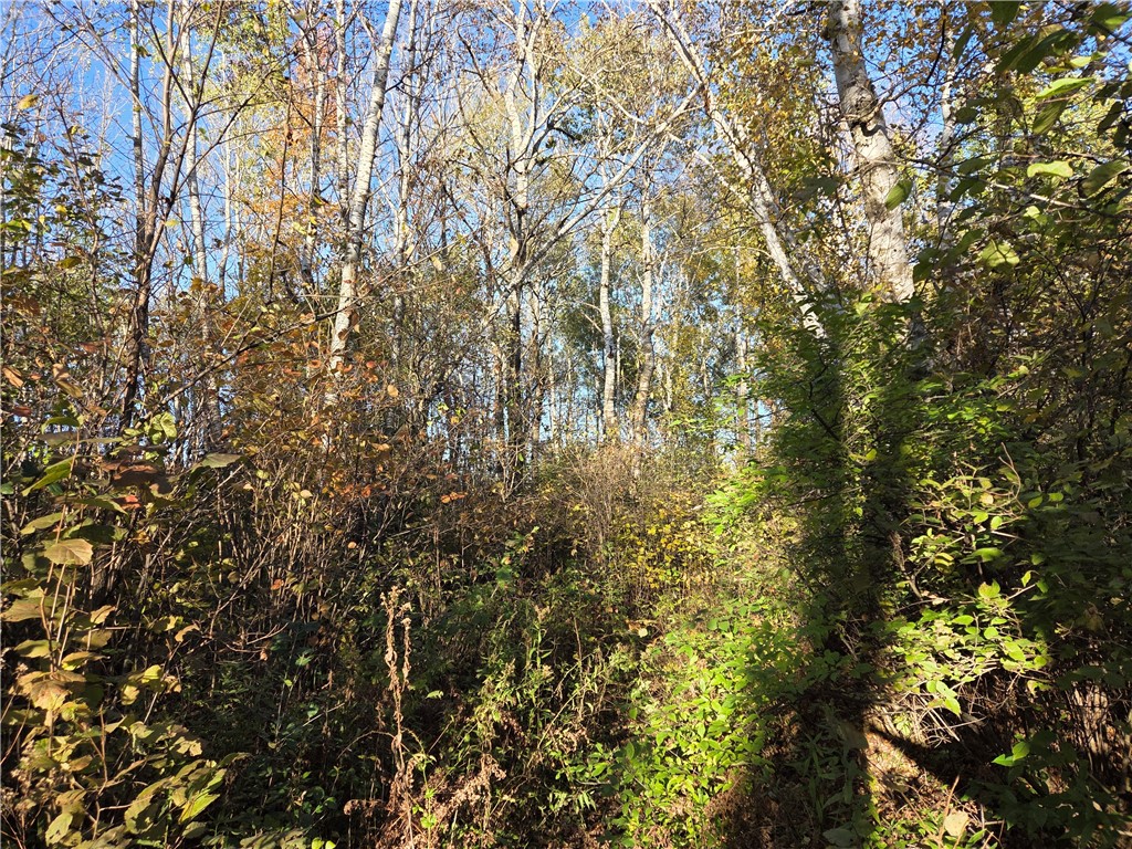 Intersection of Hwy. 48 & Co. Rd. 25 Rice Lake WI 54868 1596400 image3