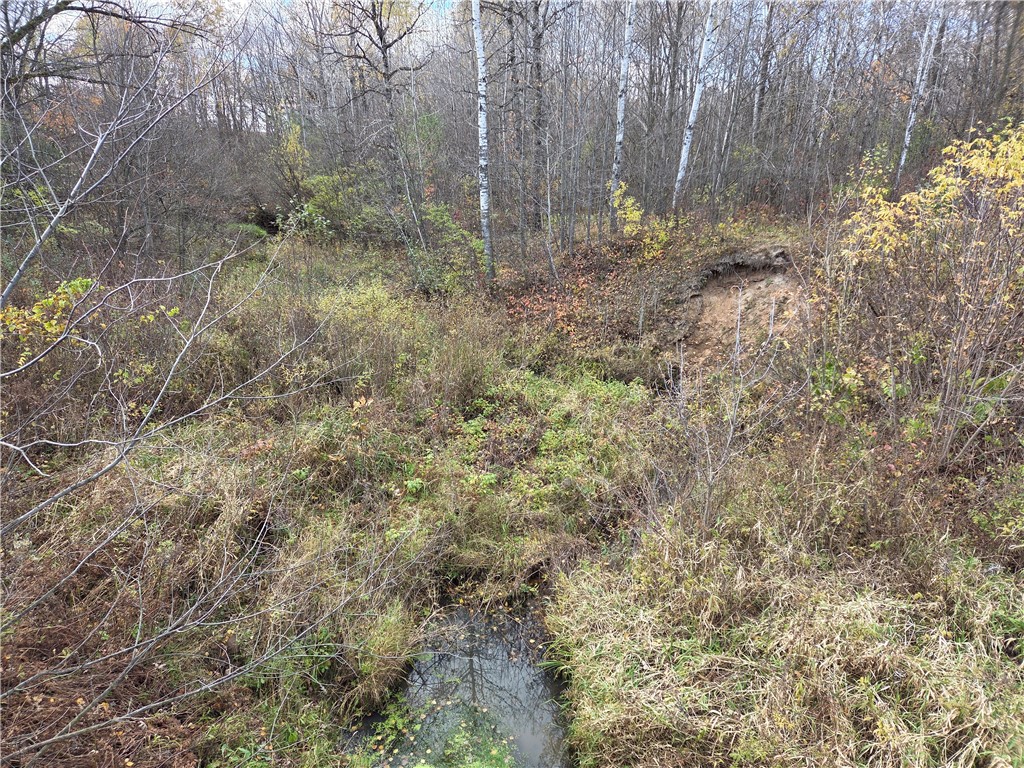 Intersection of Hwy. 48 & Co. Rd. 25 Rice Lake WI 54868 1596400 image7