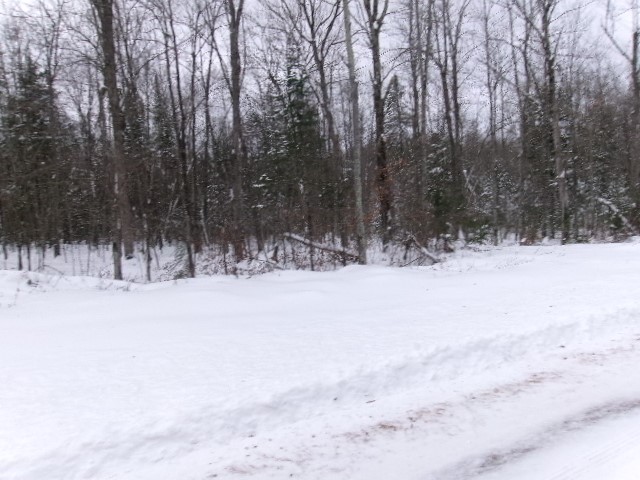 0000 Irish Rd Exeland WI 54835 1589034 image1