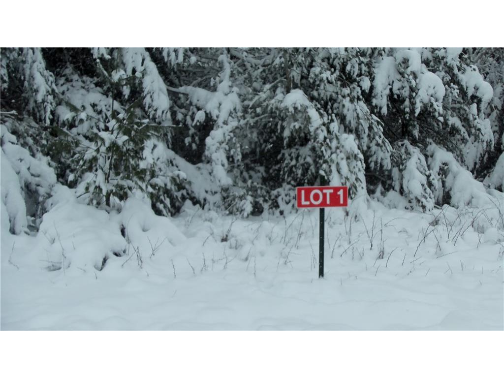 LOT 1 ANCHOR INN RD Webster WI 54893 1570453 image1