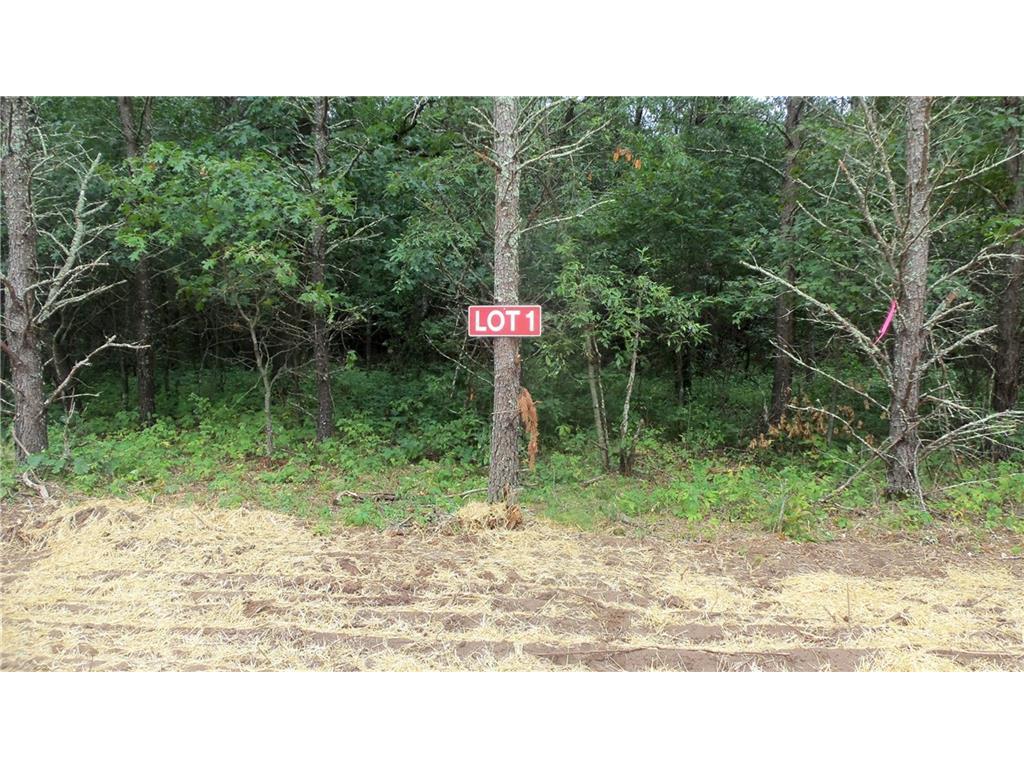 LOT 1 Bur Oak Trail Grantsburg WI 54840 1584713 image1