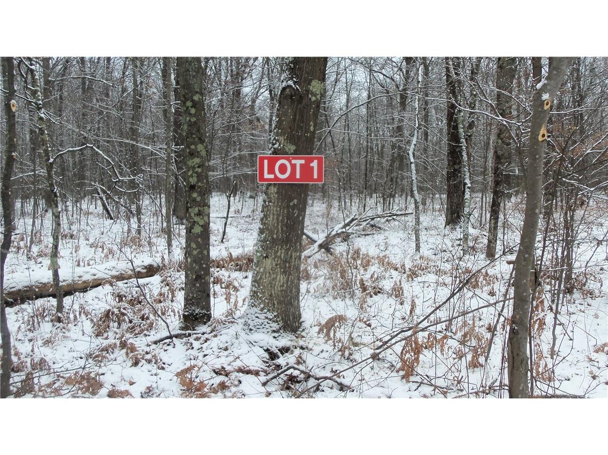 LOT 1 Blackberry Road Trego WI 54888 1578955 image1