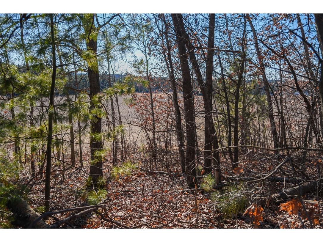 LOT 1 County Road H Fairchild WI 54741 1598798 image13