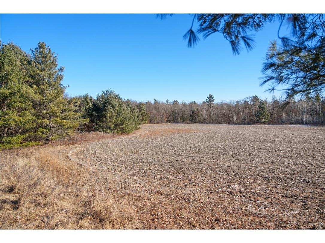 LOT 1 County Road H Fairchild WI 54741 1598798 image14