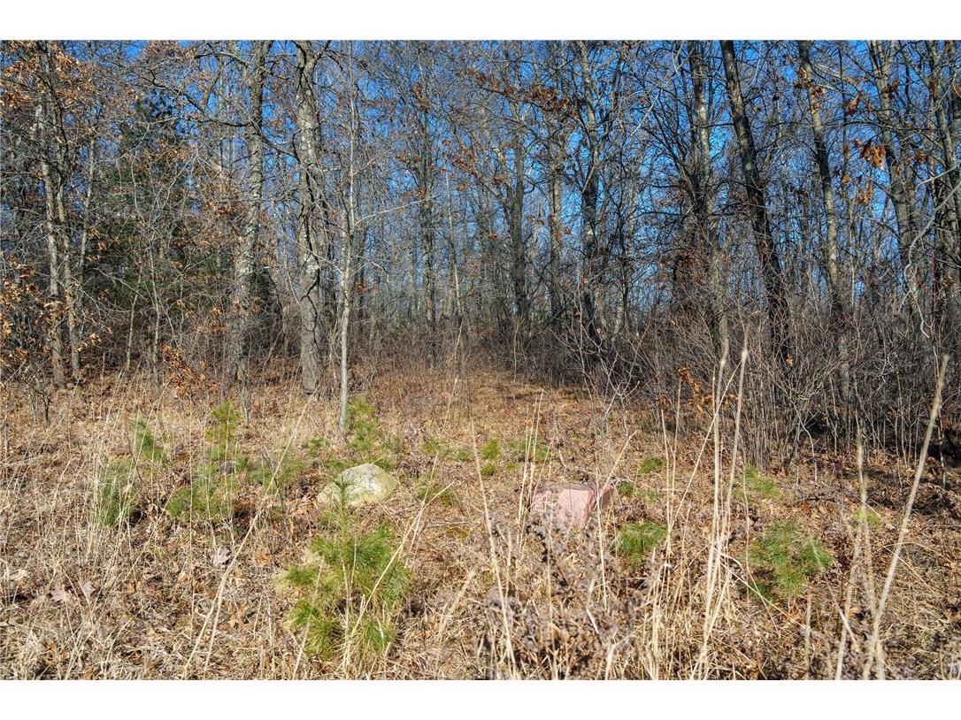 LOT 1 County Road H Fairchild WI 54741 1598798 image16
