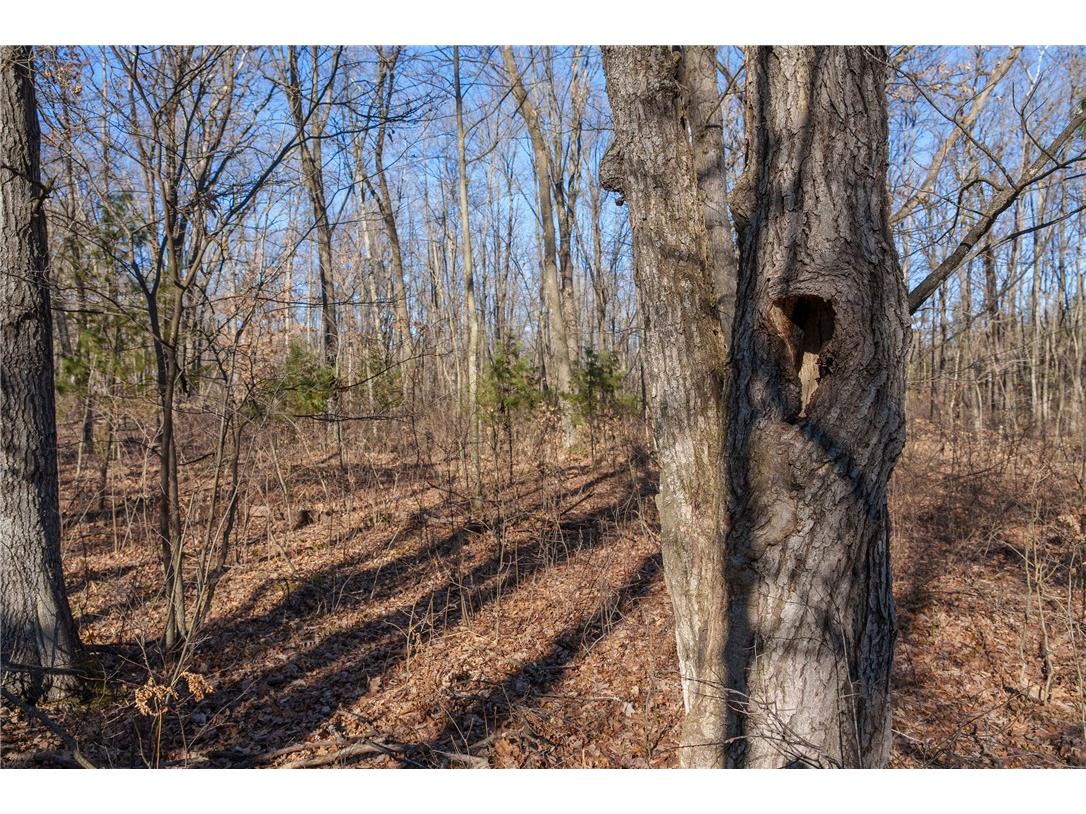 LOT 1 County Road H Fairchild WI 54741 1598798 image18